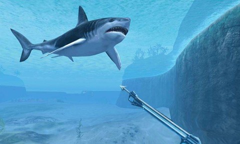 鲨鱼VR 安卓版v3.3.6