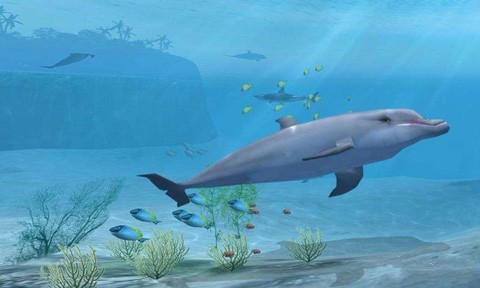 鲨鱼VR 安卓版v3.3.6(1)