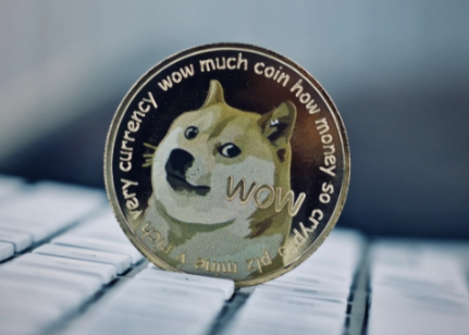 莱特币和狗狗币合作做慈善_挖莱特币为什么会赠送狗狗币_莱特币和比特币挖哪个