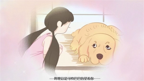 阿今宠物屋