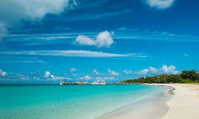 跟斗云超速浏览器