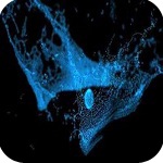 Realflow10汉化
